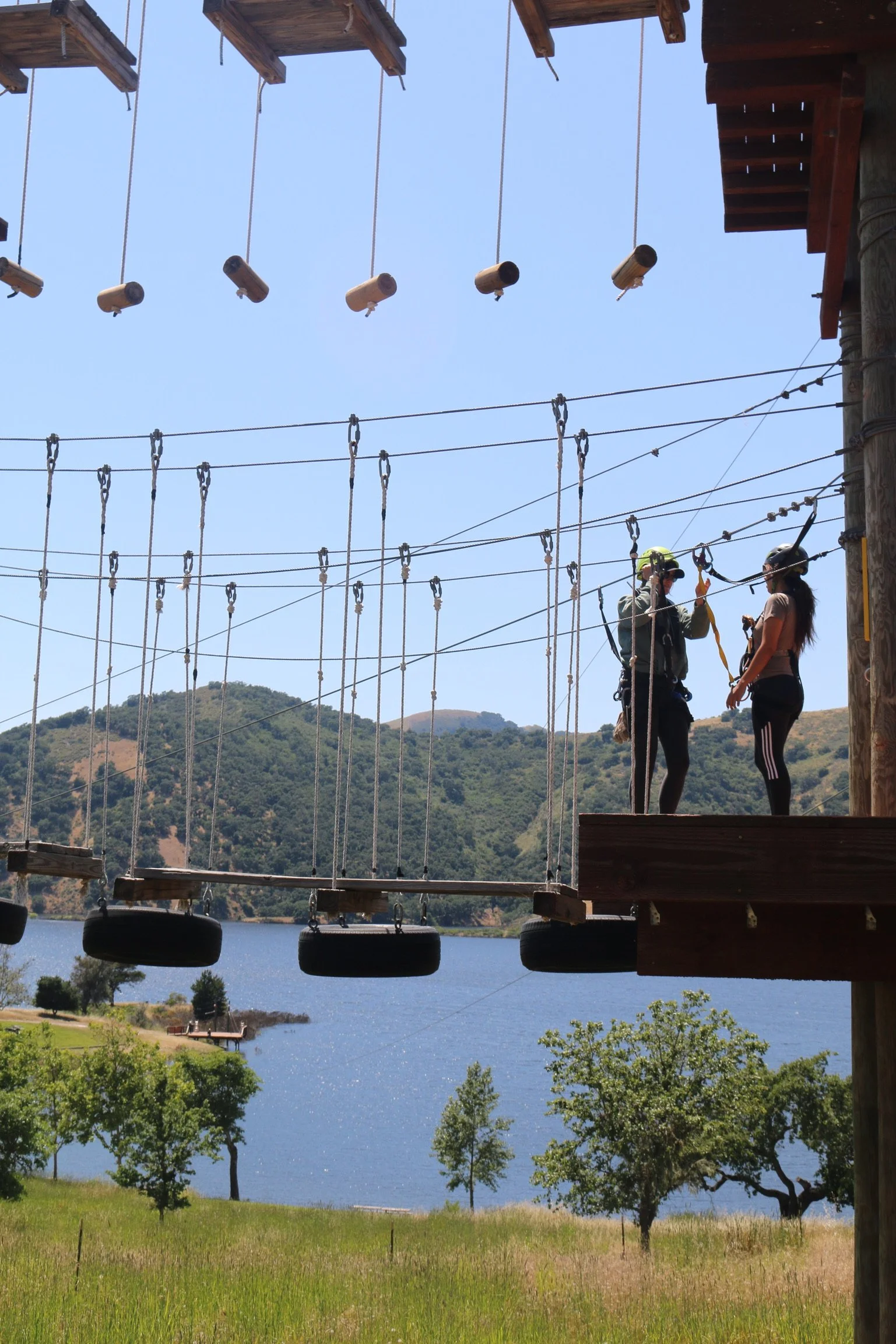 PARCO VIEW15 アルール　ダイアナ・ヴリーランド　PARCO出版 PARCO VIEW15 アルール ダイアナ・ヴリーランド PARCO出版